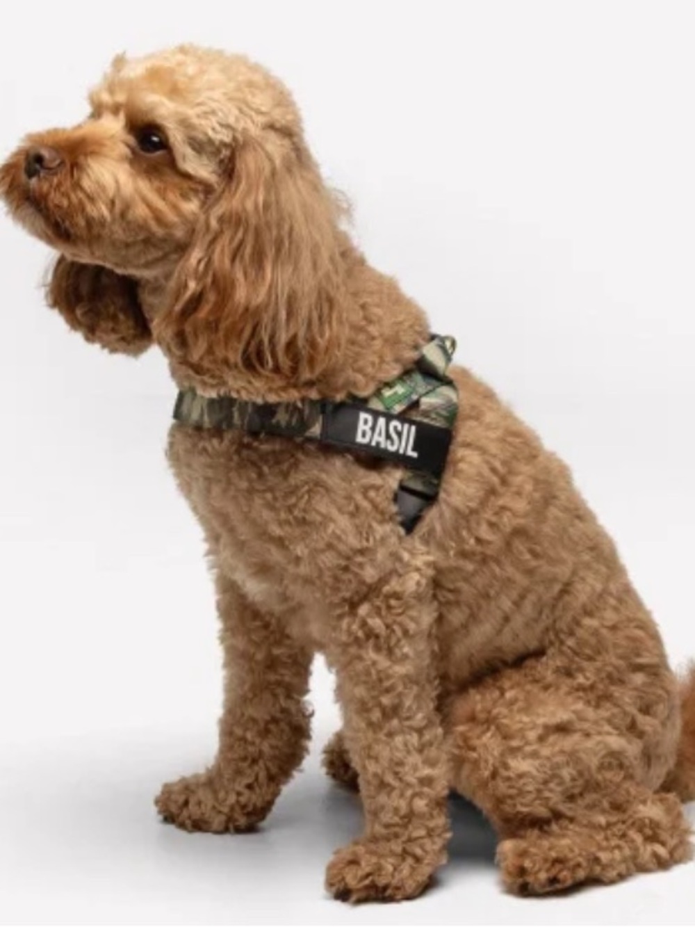 Dog Friendly Co. Adjustable Dog Harness - Green Camouflage Medium